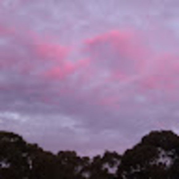 Meet your Posher, Angela - Picture 1 of 1